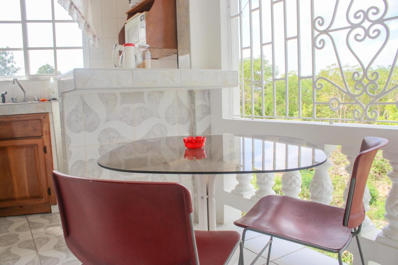 Van Villa Guesthouse Negril Bagian luar foto